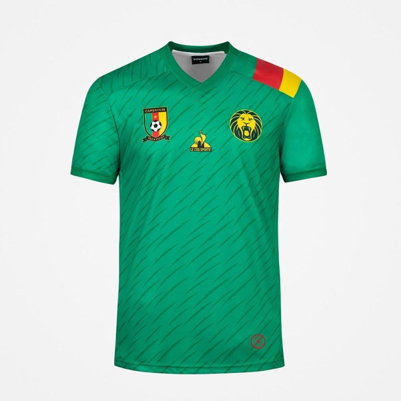 MAILLOT CAMEROUN DOMICILE 2021 2022 – Image 2