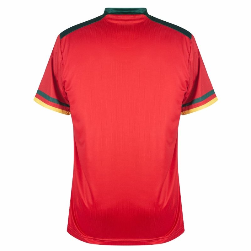 MAILLOT CAMEROUN THIRD COUPE DU MONDE 2022 (2)