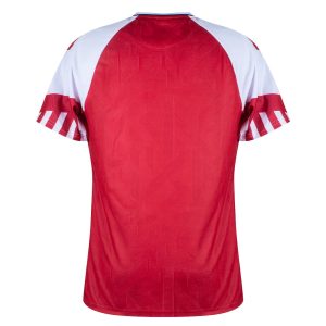 MAILLOT DANEMARK DOMICILE EURO 2024 QUALIFICATIONS (2)