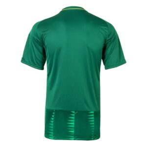 maillot-arabie-saoudite-domicile-2023-2024-2