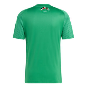 maillot-algerie-palestine-2023-vert-brillant-2