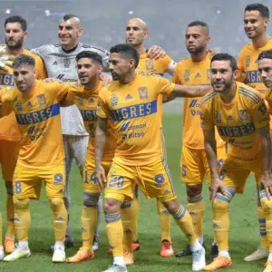 TIGRES