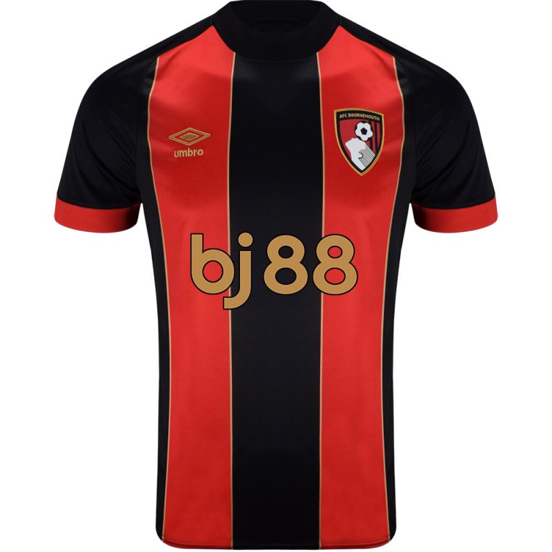 Maillot Bournemouth Domicile 2024 2025