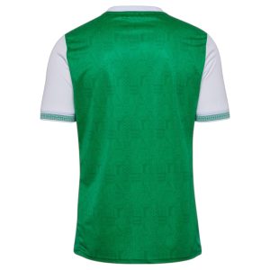 Maillot Saint Etienne Domicile 2025 2026 (2)
