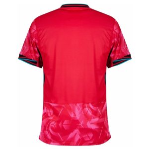 Maillot Corée du Sud Domicile 2024 2025 (2)