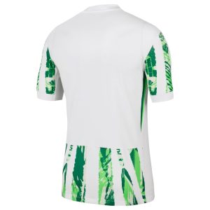 Maillot Nigeria Exterieur 2024 2025 (2)