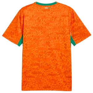 Maillot Cote d'Ivoire Domicile 2026 2027 (2)