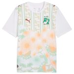 Maillot Cote d'Ivoire Exterieur 2026 2027 (1)