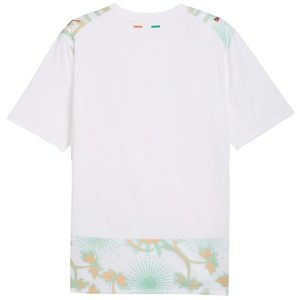 Maillot Cote d'Ivoire Exterieur 2026 2027 (2)
