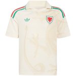 Maillot Pays de Galle Exterieur 2026 2027 (1)