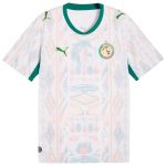 Maillot Senegal Domicile 2026 2027 (1)