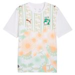 Maillot Cote d'Ivoire  Match Exterieur 2026 2027