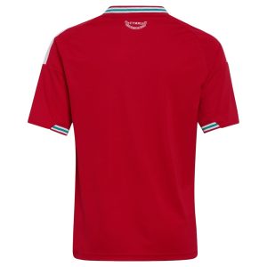 Maillot Pays de Galles Enfant Domicile 2026 2027 (2)