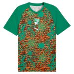 Maillot Cote d'Ivoire Pre-Match 2026 2027 (1)