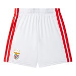 Maillot Benfica Enfant Domicile 2026 2027 (3)