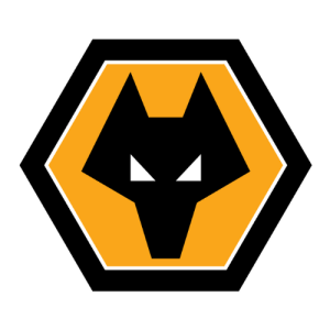 maillot-wolverhampton-2024-2025-300x300