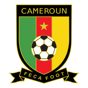 maillots cameroun